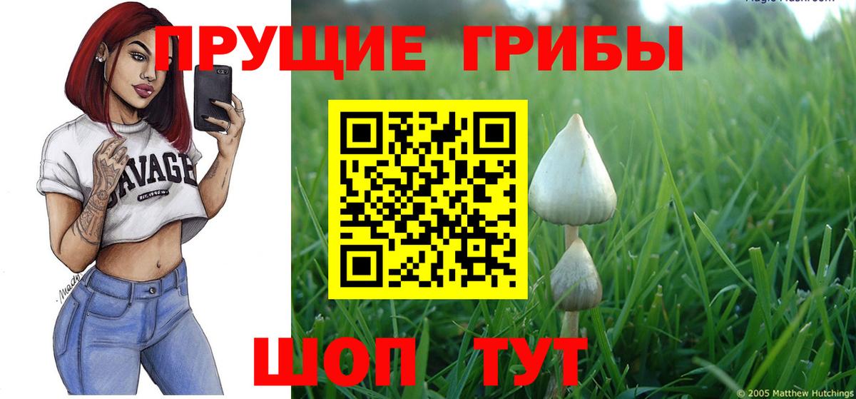 Псилоцибиновые грибы мицелий  Вход с VPN  дарнет шоп  Псилоцибиновые грибы Psilocybe  Первоуральск 